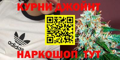 ГАЛЛЮЦИНОГЕННЫЕ ГРИБЫ Гусиноозёрск