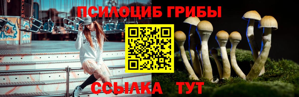 Псилоцибиновые грибы Psilocybine cubensis  Вход с VPN  Псилоцибиновые грибы Psilocybine cubensis  Мичуринск 