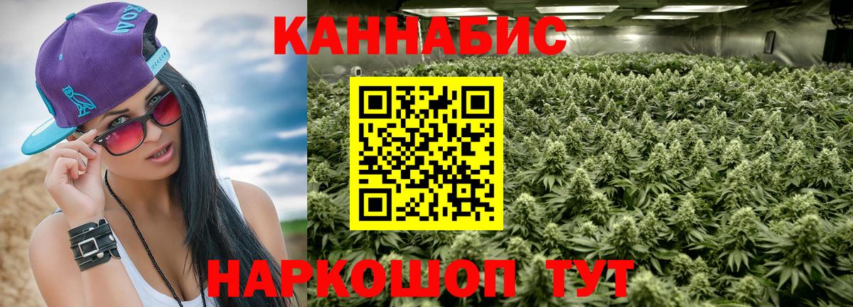 Бошки марихуана гибрид  МАРИХУАНА ГИДРОПОН  Мичуринск  Вход с VPN  Каннабис сатива 